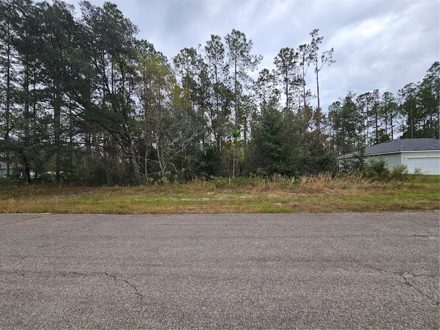 10935 N Robert Dean Way, Citrus Springs FL, 34434 land for sale