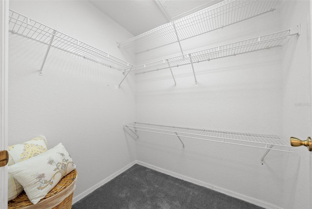 spacious closet featuring dark carpet