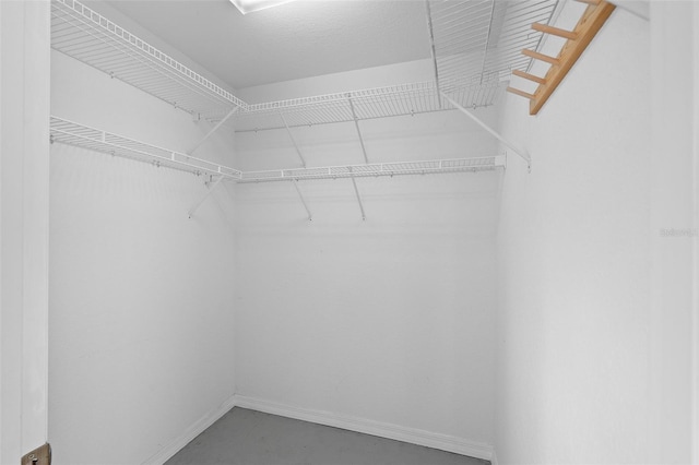 view of spacious closet