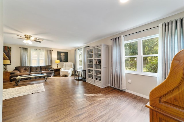 living room with ceiling fan and wood-type flooring