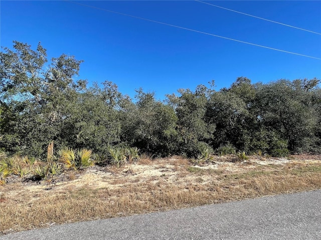 Listing photo 2 for TBD Fisher Trace, Ocklawaha FL 32179