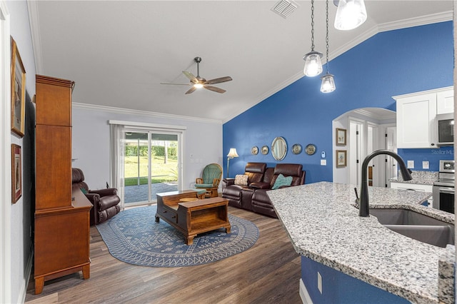 living room featuring dark hardwood / wood-style flooring, lofted ceiling, sink, and ornamental molding