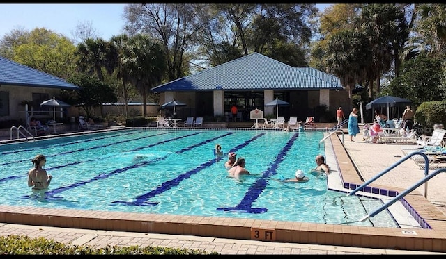 view of swimming pool featuring a patio