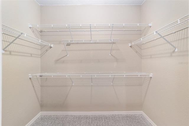 walk in closet featuring carpet