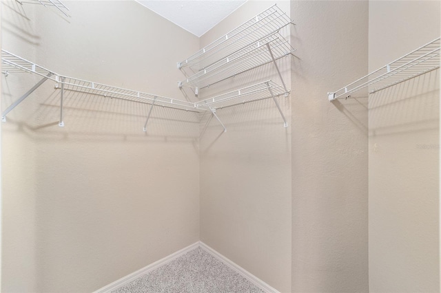 spacious closet with carpet flooring