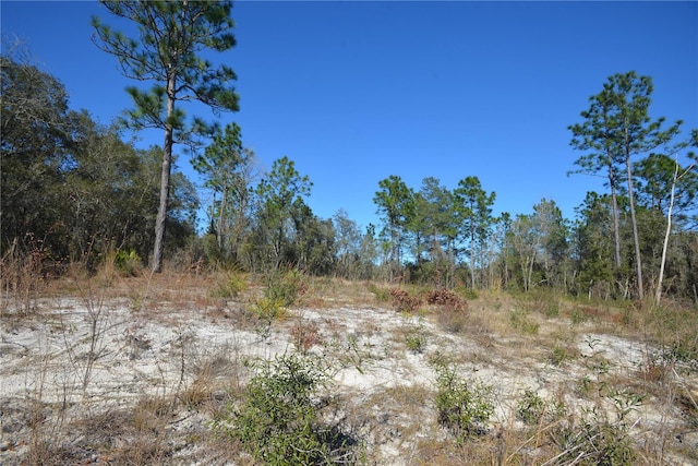 Sw 144 Place, Ocala FL, 34473 land for sale