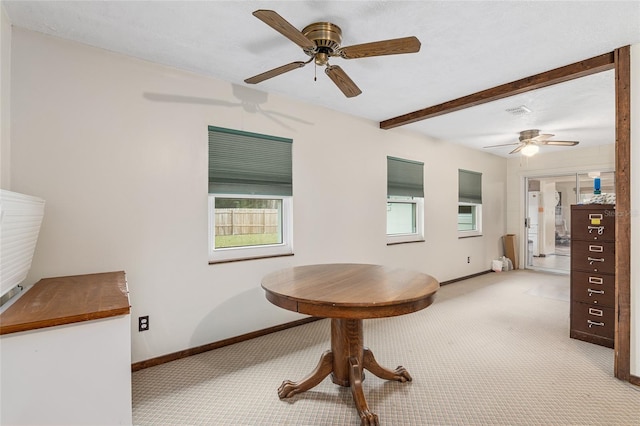 carpeted dining room featuring ceiling fan and beamed ceiling