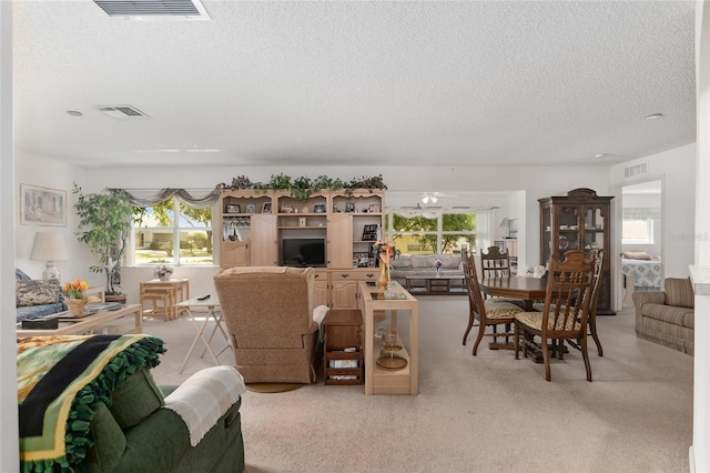 carpeted living room with a textured ceiling