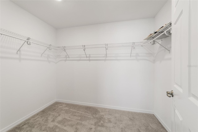 spacious closet with light carpet