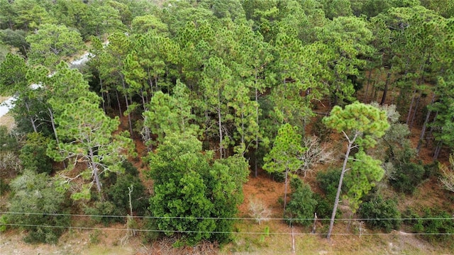 TBD SW Sylvan Heights Rd, Dunnellon FL, 34431 land for sale