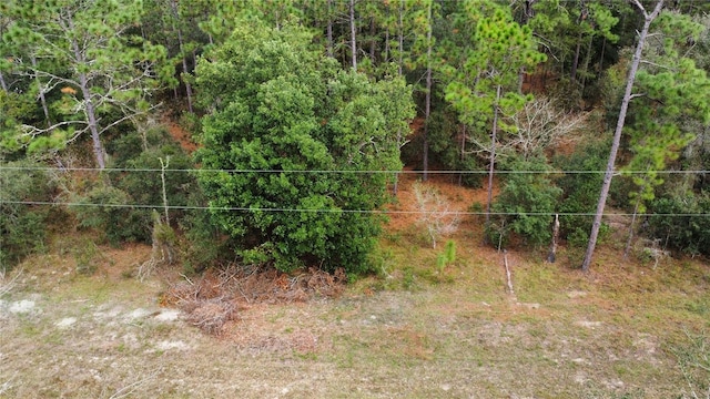 Listing photo 2 for TBD SW Sylvan Heights Rd, Dunnellon FL 34431