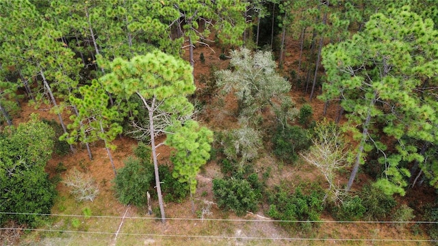 Listing photo 3 for TBD SW Sylvan Heights Rd, Dunnellon FL 34431