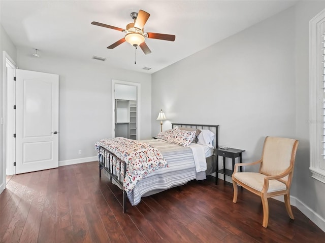 bedroom featuring a closet, ceiling fan, a spacious closet, and dark hardwood / wood-style flooring