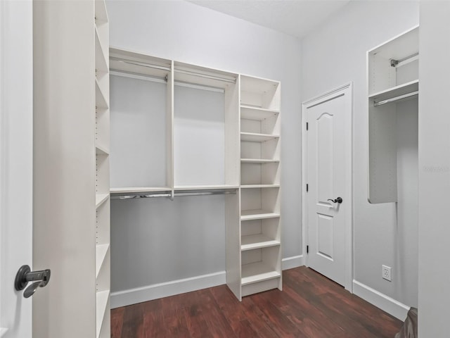 spacious closet with dark hardwood / wood-style floors