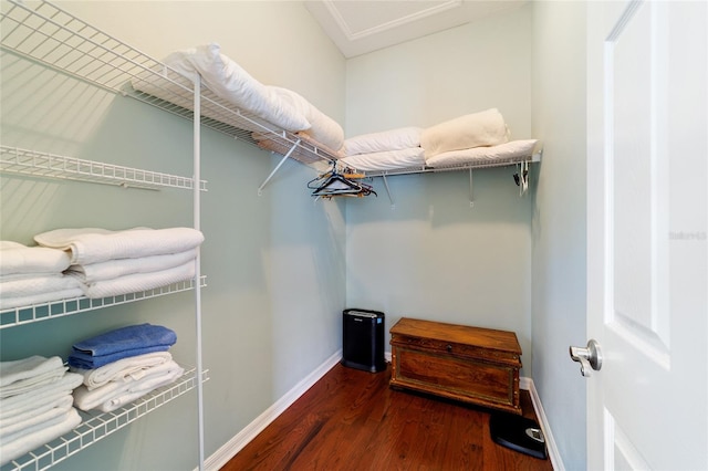 walk in closet with dark wood-type flooring