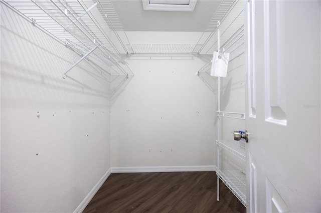 walk in closet featuring hardwood / wood-style flooring