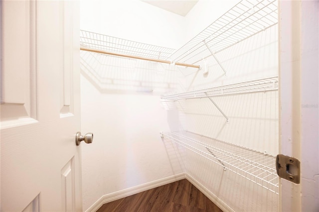 spacious closet featuring hardwood / wood-style flooring