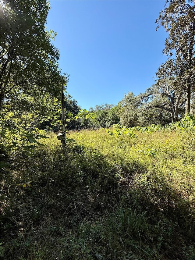 5210 SE 28th Ave, Ocala FL, 34480 land for sale