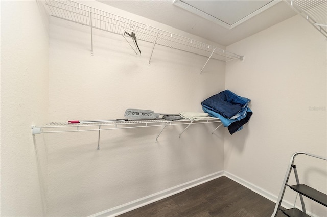 spacious closet with dark hardwood / wood-style floors