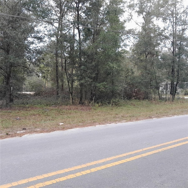 TBD NE 101st Ct, Bronson FL, 32621 land for sale