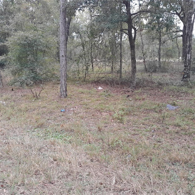 Listing photo 2 for TBD NE 101st Ct, Bronson FL 32621