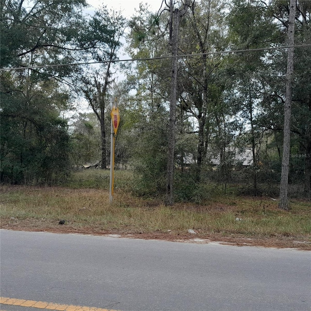 Listing photo 3 for TBD NE 101st Ct, Bronson FL 32621