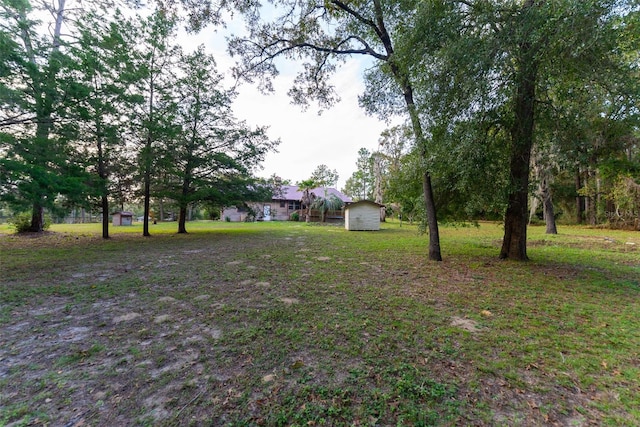 view of yard featuring a storage shed