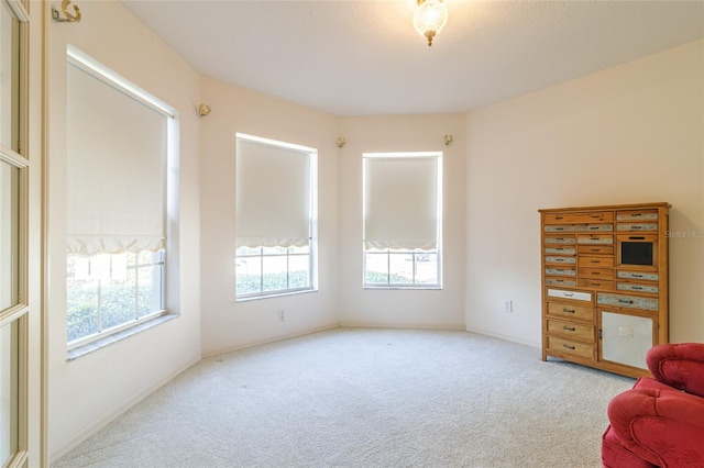 living area with light carpet