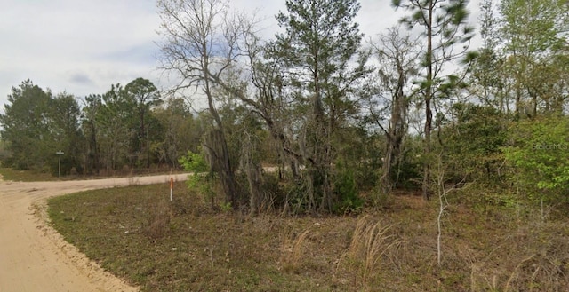 Listing photo 3 for 0000 April Ave, Interlachen FL 32148