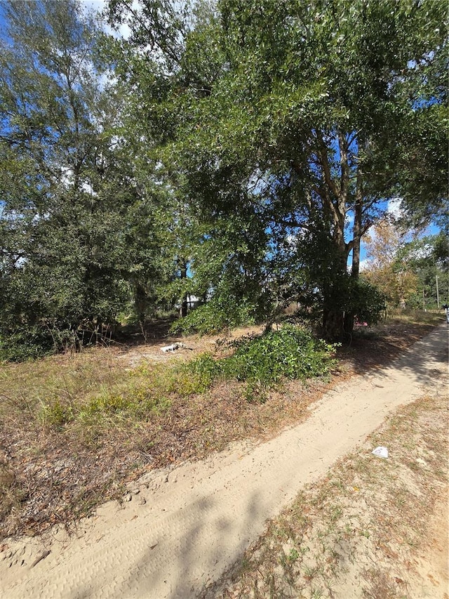 Se 106 Terrace, Belleview FL, 34420 land for sale