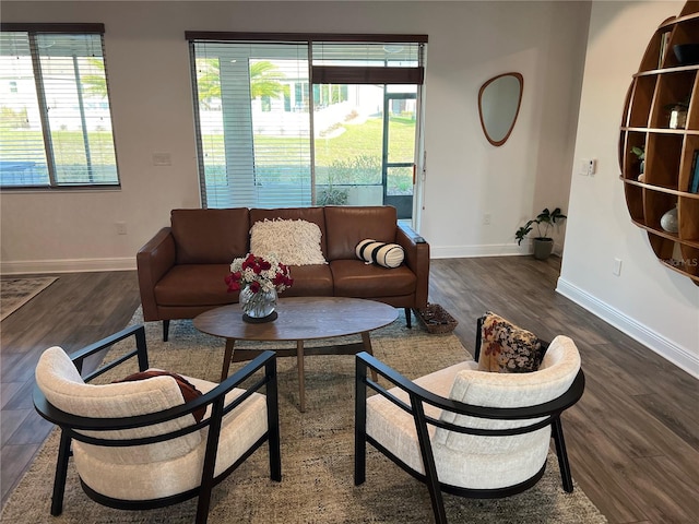 living room with dark hardwood / wood-style floors