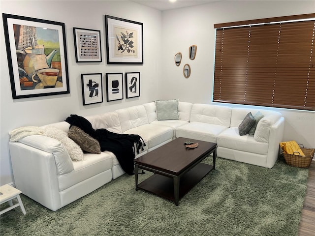 living room featuring dark hardwood / wood-style floors