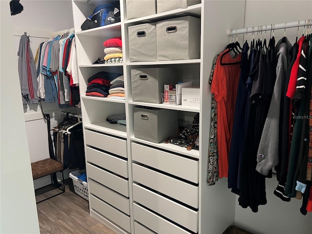 spacious closet featuring wood-type flooring