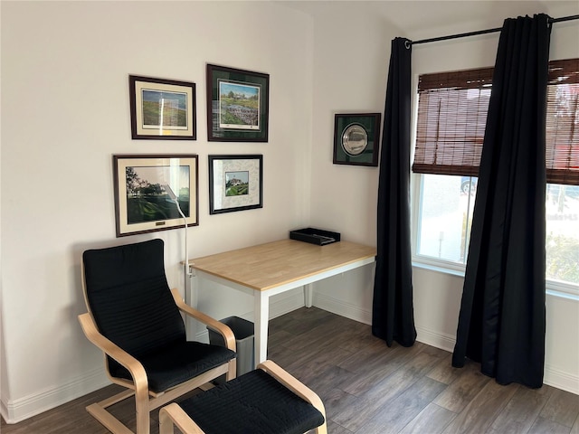 office area featuring dark hardwood / wood-style floors