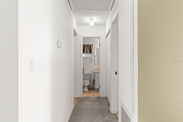 hall with carpet flooring and a textured ceiling