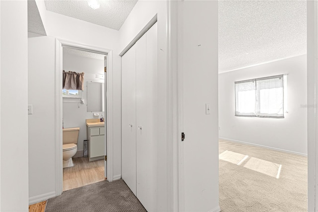 corridor featuring a textured ceiling and carpet floors