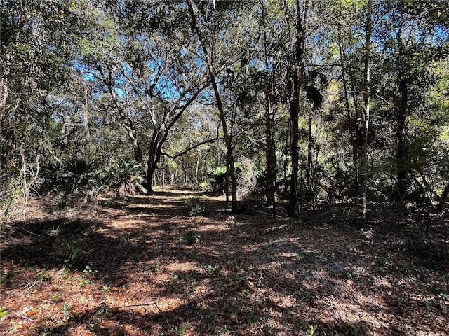 Listing photo 3 for TBD Ne 148th Terrace Road, Fort Mc Coy FL 32134