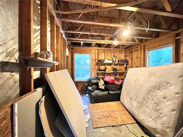 basement featuring a wealth of natural light