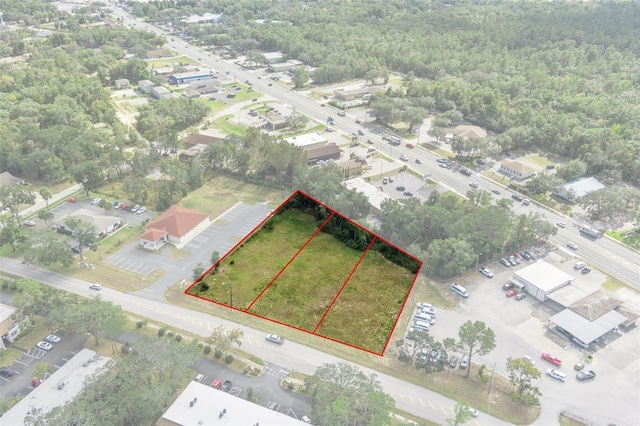 2509 Forest Dr, Inverness FL, 34453 land for sale