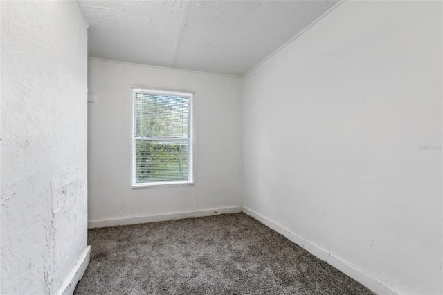 carpeted spare room featuring a textured ceiling and ornamental molding