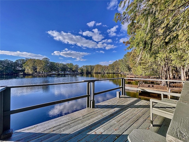 dock area with a water view