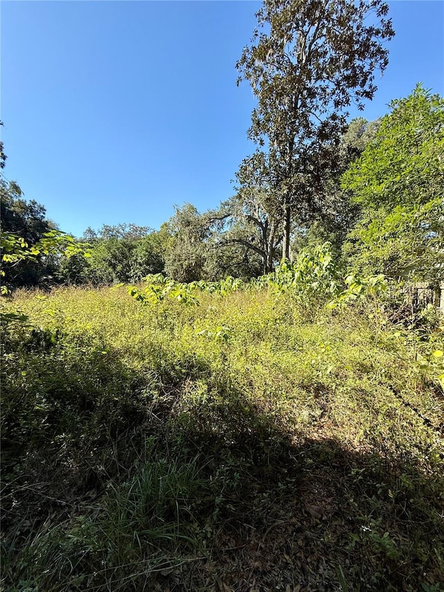 5210 SE 28th Ave, Ocala FL, 34480 land for sale