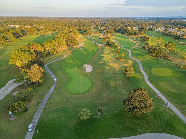 drone / aerial view with golf course view