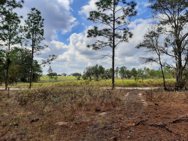 SW 209th, Dunnellon FL, 34431 land for sale