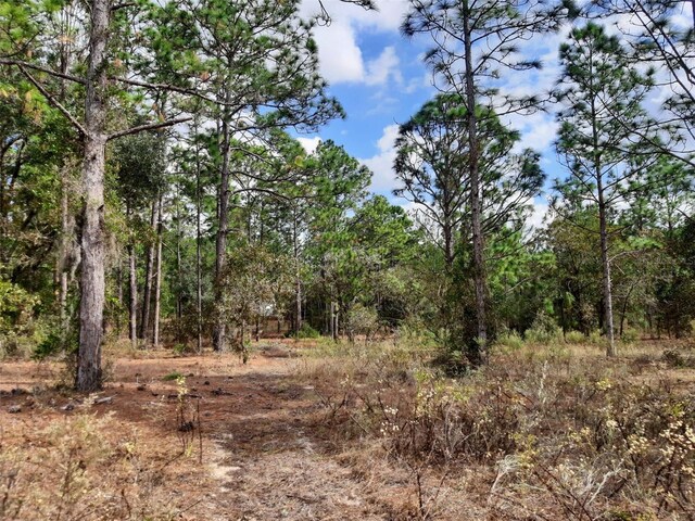 SW 209th, Dunnellon, FL 34431