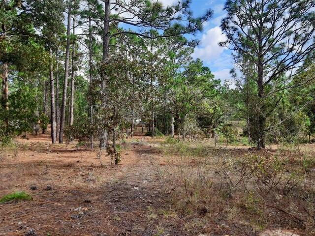 SW 209th, Dunnellon, FL 34431