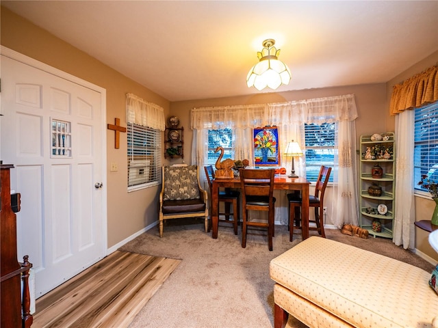 dining space featuring carpet