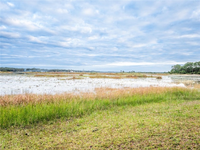 view of local wilderness with a water view