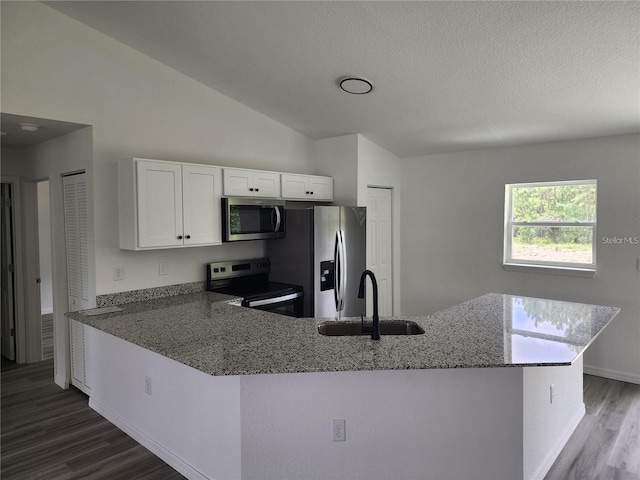 kitchen featuring kitchen peninsula, wood-type flooring, lofted ceiling, and appliances with stainless steel finishes