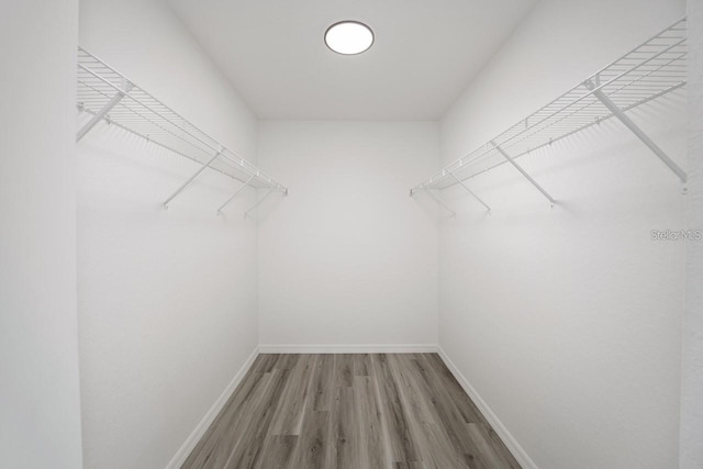 spacious closet featuring hardwood / wood-style floors